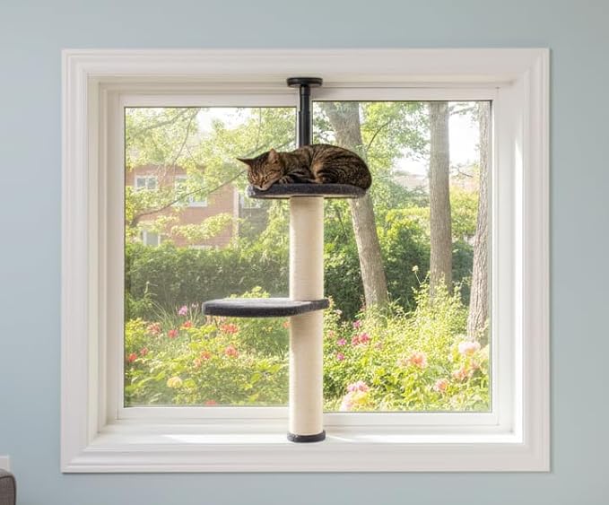 Window Cat Tree & Small Cat Tower (89.5-105.5cm) – Adjustable Cat Window Perch & Shelf for Indoor Cats – Sturdy Window Sill Extender Seat for Large Cats