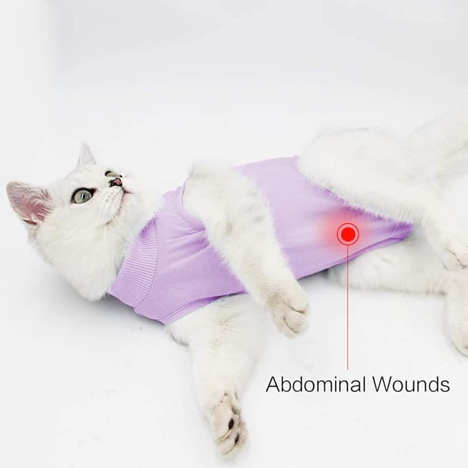 kzrfojy Cat Surgery Recovery Suit Cat Onesie for Cats After Surgery Spay Surgical Abdominal Wound Skin Diseases E-Collar Alternative Wear (Purple-L)