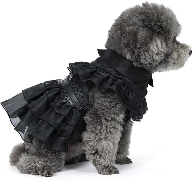 Pet Dog Cat Black Dress Halloween Costume Cosplay Puppy Kitten Coat with Belt Christmas Party (Black, Medium)
