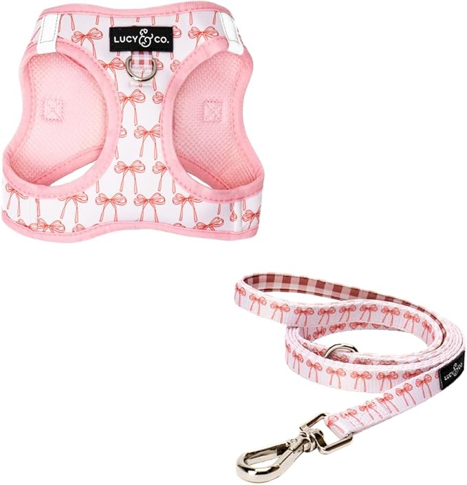 Lucy & Co. Take a Bow Step-in Cat Harness & Leash Bundle for Cats, Kittens & Small Dogs Reflective, Breathable & Adjustable, Lightweight & Secure with Dual Leash Clips Small, Neoprene & Mesh