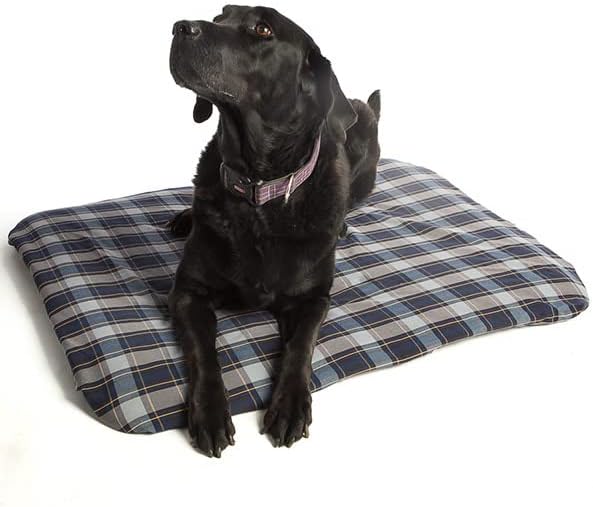 ProMagnet Magnetic Therapy Pet Pad (Large) Washable, Removable Cover. Made in The USA for Over 28 Years