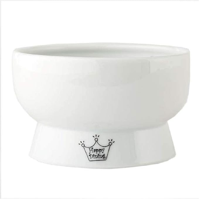Necoichi Elevated Cat Water Bowl – Ceramic Raised Cat Bowl, Prevents Neck & Whisker Fatigue – Dishwasher & Microwave Safe – Pet Water Bowl for Cats (Jelly Bean, Regular)