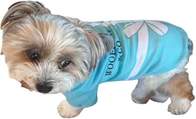 Luxury Designer Dog T Shirt – Cute Puppy Clothes for Small Dogs, Fashion Pet Tee Outfit for French Bulldogs & Chihuahuas, Everything Chic Dog Apparel
