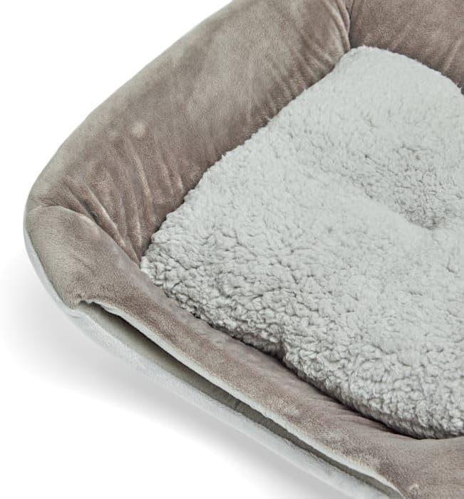 EveryYay by Petco 2-in-1 Novelty Pyramid Convertible Cat Bed 16" L X 16" W Gray