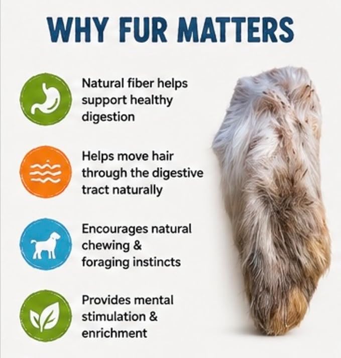 Rabbit Front Feet for Dogs – Natural Fur-On Rabbit Dog Treats, Gently Air Dried Single Ingredient Chews, High Protein Raw Feeding Snack for Small & Medium Dogs – 24 Count