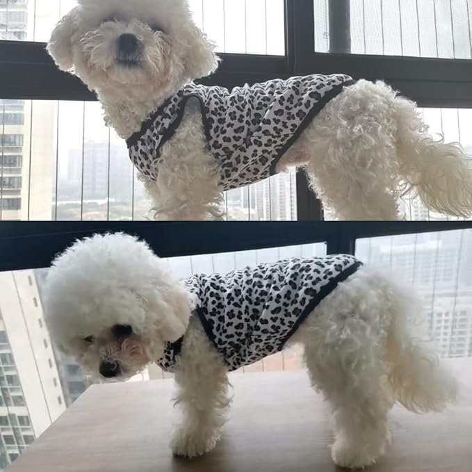 Pet Clothes, Leopard Print T-Shirt Puppy Cat Cotton Vest Clothing Apparel Spring Summer Breathable Sleeveless Harness Costumes for Small Dogs(XS, Black)