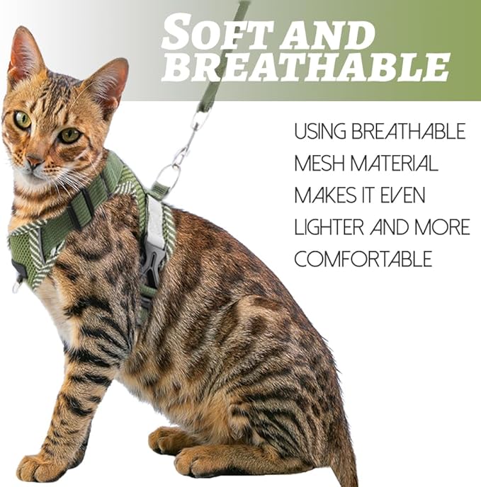 Cat Harness and Leash Escape Proof Harness for Kitten Puppy Adjustable Breathable Cats Dog Easy Walk Seatbelt X-Large 2 Pack, Blue+Green