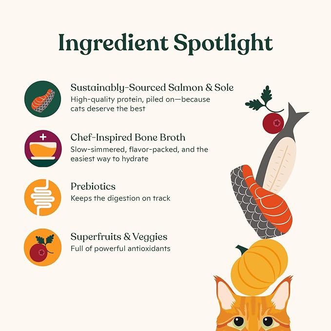 Made by Nacho Sustainably Caught Salmon & Sole Recipe with Bone Broth Minced Wet Cat Food, 3-oz can, Case of 6