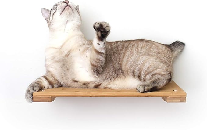 CatastrophiCreations Cat 18" Shelf Handcrafted Elevated Wall, English Chestnut Bamboo, one Size