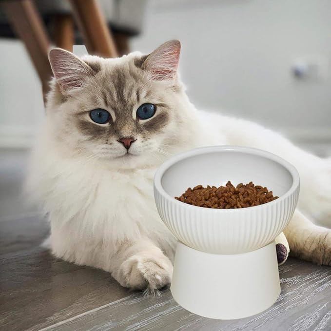 BESTYASH Pet Raised Feeding Bowl Ceramic High Feet Feeder White Elevated Pet Food Dish for Cats and Dogs Suitable for Feeding and Watering