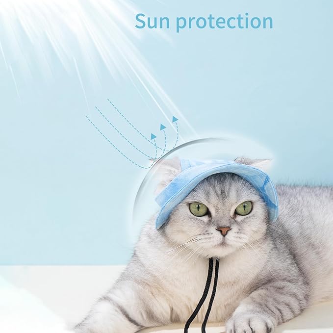 Pet Hat with Ear Holes Sunscreen Cap, Adjustable String Dog Cat Summer Sun Hat,Cat Dog Bucket Hat for Birthday Party Costume Decoration Outdoor Hiking (Blue, Large)