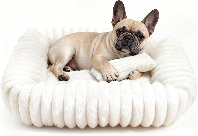 Dog Bed for Small Medium Size Dog, Washable Self Warming Dog Cat Beds for Indoor Cats Fluffy Rabbit Fur Pet Bed for Puppy and Kitten, Orthopedic Dog Cat Beds with Removable Cover & Anti-Slip Bottom