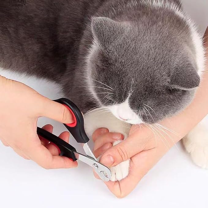 Pet Nail Clippers for Small Animals, Stainless Steel Cat Nail Trimmers with Non-Slip Handle, Safe & Sharp Claw Cutter for Puppies, Cats, Rabbits and Ferrets
