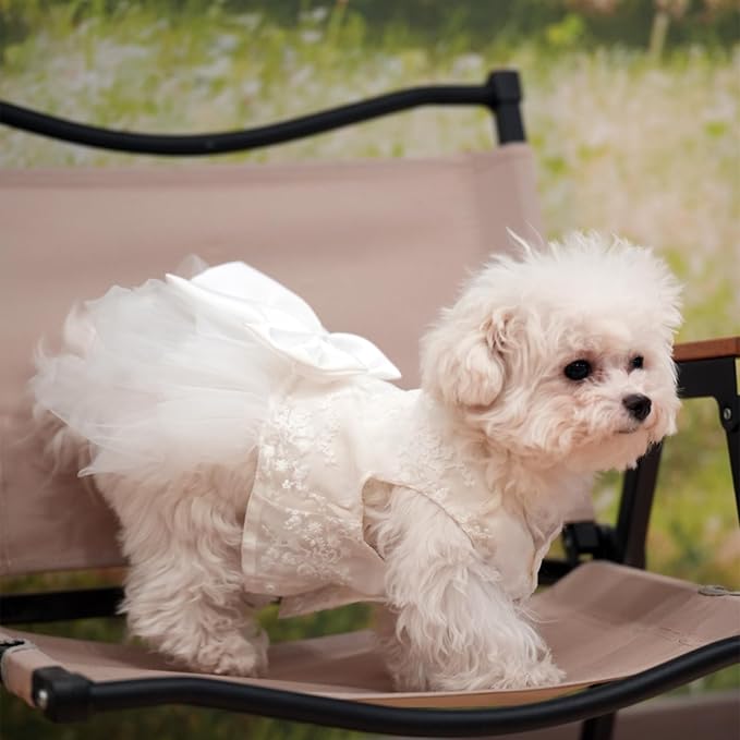 Dog Dress,Pet Wedding Dress Princess Formal Tutu Skirt with Bowknot,Puppy Birthday Party Outfit Apparel Girl for Dogs Cats (White Lace, X-Large)
