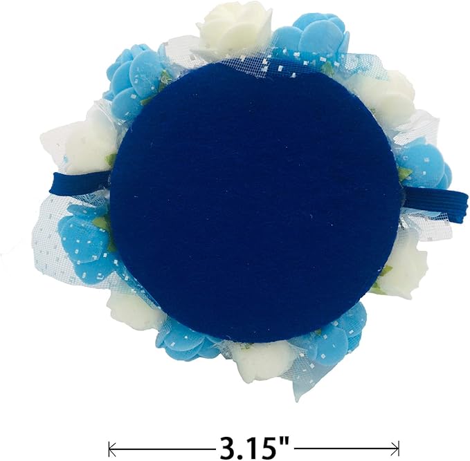 Dog Birthday Hat Adjustable Reusable Crown for Dogs Cats Puppy Kitten Birthday Party Headband with Numbers(Blue)