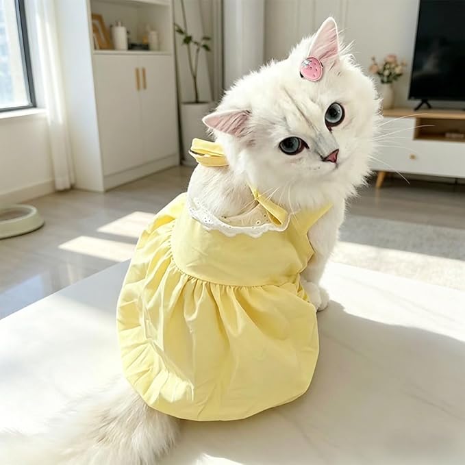 Pet Pumpkin Princess Dress for Small Dogs Cats, Breathable Polyester Lace Skirt, Adjustable Strap Sleeveless Puppy Kitten Outfit for Ragdoll Yorkie Maltese, Spring Summer Sweet Costume(Yellow, Medium)
