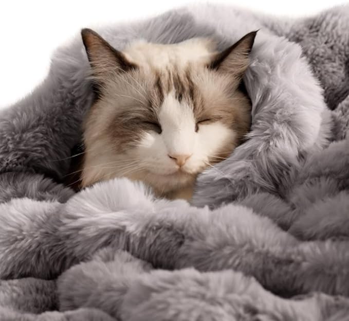 SOMAHE Cat Blanket, Reversible Sherpa & Bubble Fleece Pet Throw, Ultra-Soft Plush for Indoor Cats, Machine Washable, Anti-Static, Warm & Cozy, 22"×18" Inch Gray