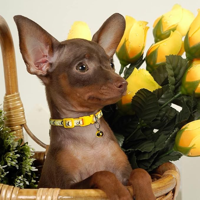 5 PCS Adjustable Moons and Stars Kitten Collars with Bell, Perfect for Pet Supplies, Safety Buckle (5 Colors)