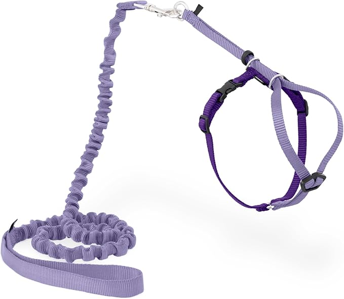 PetSafe Come with Me Kitty Harness and Bungee Leash Adjustable, Lightweight Harness for Cats Small, Lilac