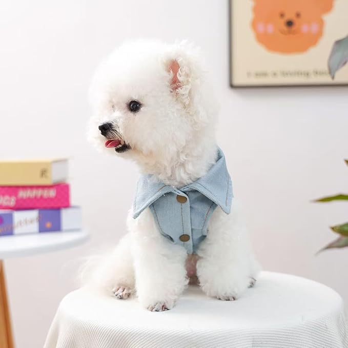 Valentine Denim Dog Jacket for Small Dogs Cats, Cute Cowboy Heart Embroidered Pet Vest with D-Ring for Leash, Lightweight Puppy Outfit for Daily Wear & Holidays(S)