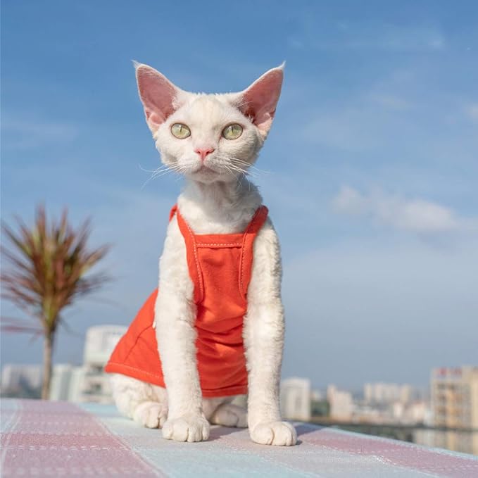 Hairless Cats Solid Cotton Camisole, Breathable Summer Tank Tops for Sphynx, Cornish Rex, Devon Rex, Peterbald, Cat Wear Hairless Cat Clothes Soft Skin-Friendly Cats Apparel Assorted Colors and Sizes