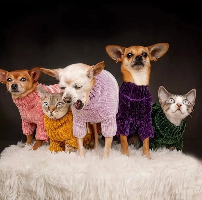 Blueberry Pet Cozy Soft Chenille Classy Striped Dog Sweater in Dark Plum, Back Length 22", Pack of 1 Clothes for Dogs