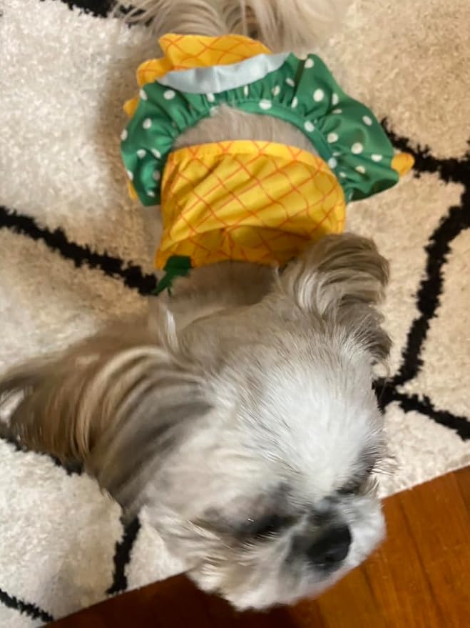 Funny Dog Swimwear Bikini Summer Dog Clothes Beach Swimsuit Puppy Bathing Suit Puppy Vest Cooling Pet Shirt for Small Dogs, Cat Apparel (X-Large, Yellow Pineapple)