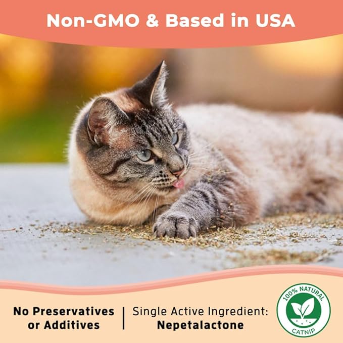 Whiskertons Hurrb Catnip for Cats & Kittens, 100% Natural & Safe Catnip Treats Used for Refillable Catnip Toys & Accessories, 1 Ounce