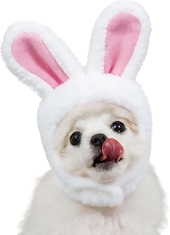 Qiansail Lion Mane Wig for Cats, Funny Bunny Ears Cute Dog Hats Cat Apparel Costume Pet Clothing Accessories for Halloween Cosplay Party
