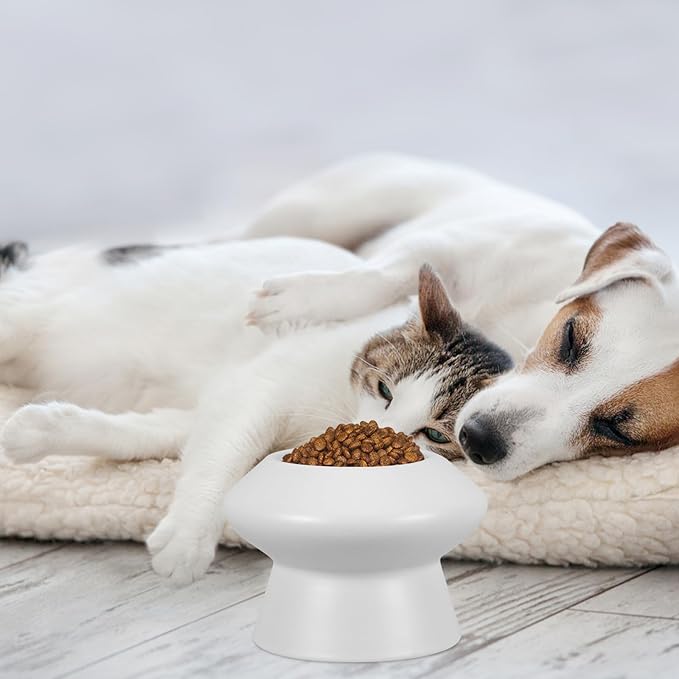 GANAZONO Ceramic Raised Pet Bowl High Feet Feeding Bowl with Whisker Relief Spill-Resistant Ceramic Pet Feeder for Water and Food Suitable for Cats with Flat Faces and Random Color