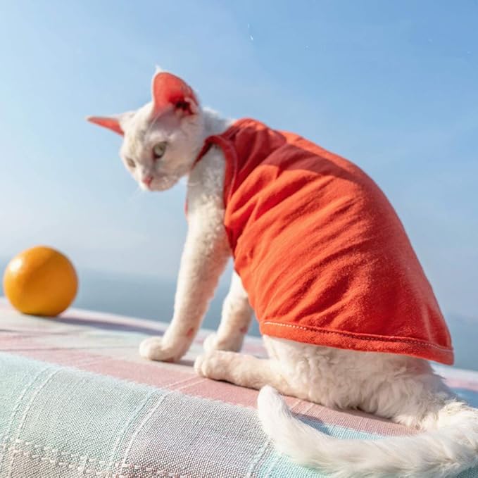 Hairless Cats Solid Cotton Camisole, Breathable Summer Tank Tops for Sphynx, Cornish Rex, Devon Rex, Peterbald, Cat Wear Hairless Cat Clothes Soft Skin-Friendly Cats Apparel Assorted Colors and Sizes