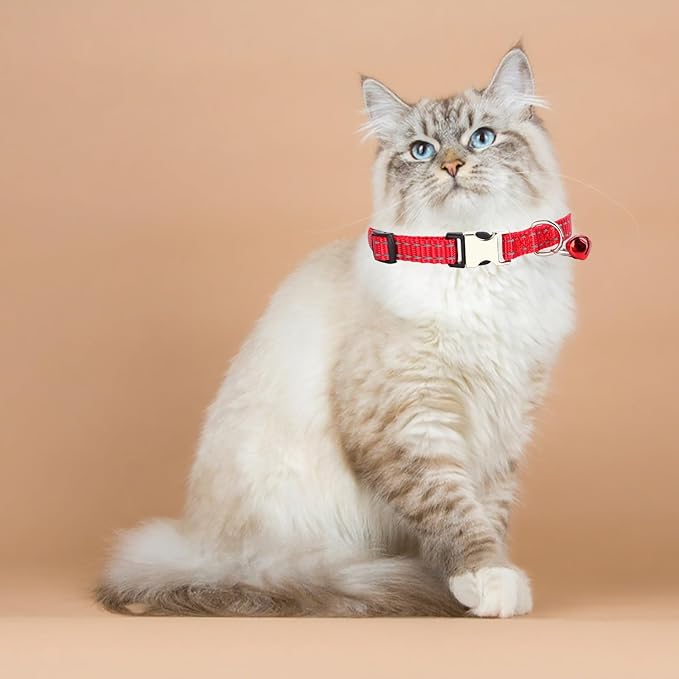 Custom Engraved Cat Reflective Collars with Name & Phone Number,Personalized Adjustable Buckle&Bell ID Tag Collar for Kittens&Cats