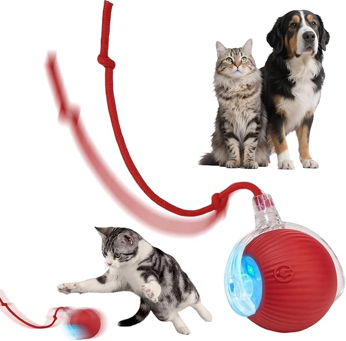Interactive Dog Cat Toys Balls 360° Smart Automatic Rolling Interactive Rolling Ball Cat Toy Pet Ball Fast Moving Toy for Dog and Cat(Red)
