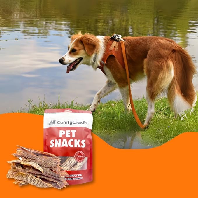 Air-Dried Duck Jerky Dog Treats, Novel Protein & Grain-Free Tender Snacks, All Natural Single Ingredient Training Reward for Sensitive Dogs, 5.29 Ounce (2 Pack x 5.29 Ounce,Chicken)