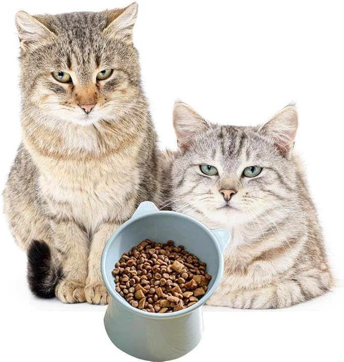 Non-Slip Cat Bowls with Raised Stand Oblique Pet Food Water Bowl for Cats Dogs Pet Water Drinking Feeder Pet Products