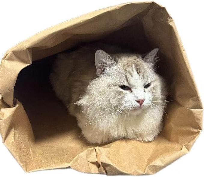 Cat Crinkle Bag Toy Giant Paper Bag Tunnel for Indoor Cats, Collapsible 29.53 * 13.78inch Interactive Hideaway with Crinkle Sound for Kittens, Rabbits, Ferrets