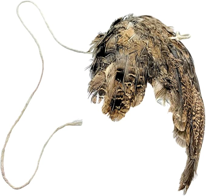 Unique Wing on String Cat Toy - Real Quail Wing Bird Scent Interactive Play for Cats, Dog Training Accessory