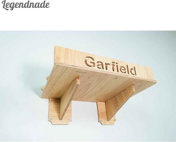 Personalized Cat Shelf Wall, Hanging Pet Bed, Wood Wall Mounted Cat Shelves, Wooden Furniture Station Toy Perch for Playing Sleeping Scratching, Your Cats Gifts