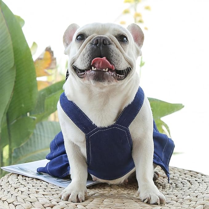 Denim Pet Dress & Vest Harness for Dog Cat, Male Female Universal with D-Ring, Bow Decor Ruffled Skirt Breathable Clothes for Small to Large Pets (Small, Skirt-Blue Denim)