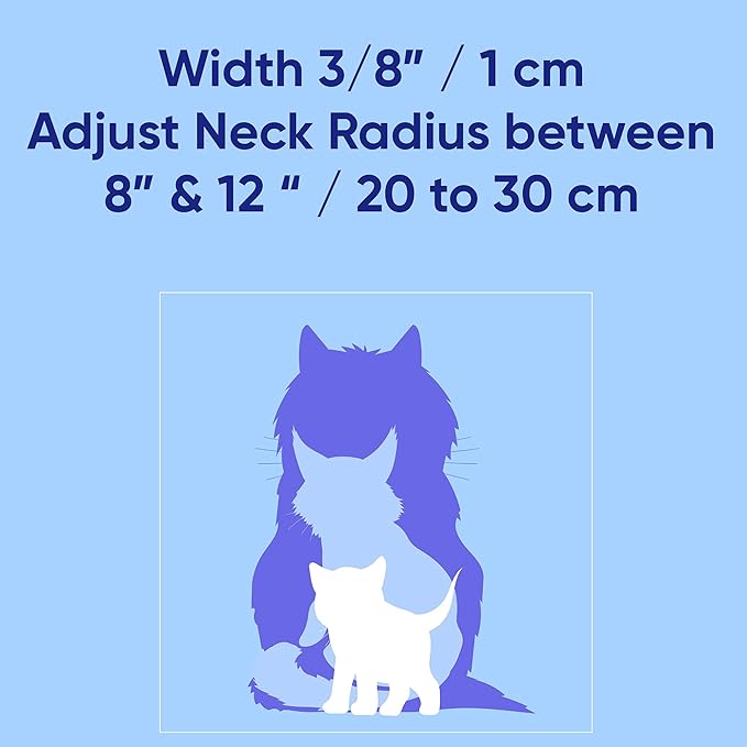 Pawtitas Glow in the Dark Cat Collar with Breakaway Safety Buckle & Bell Adjustable Kitten Collar, Set of 2 GID Teal/Black