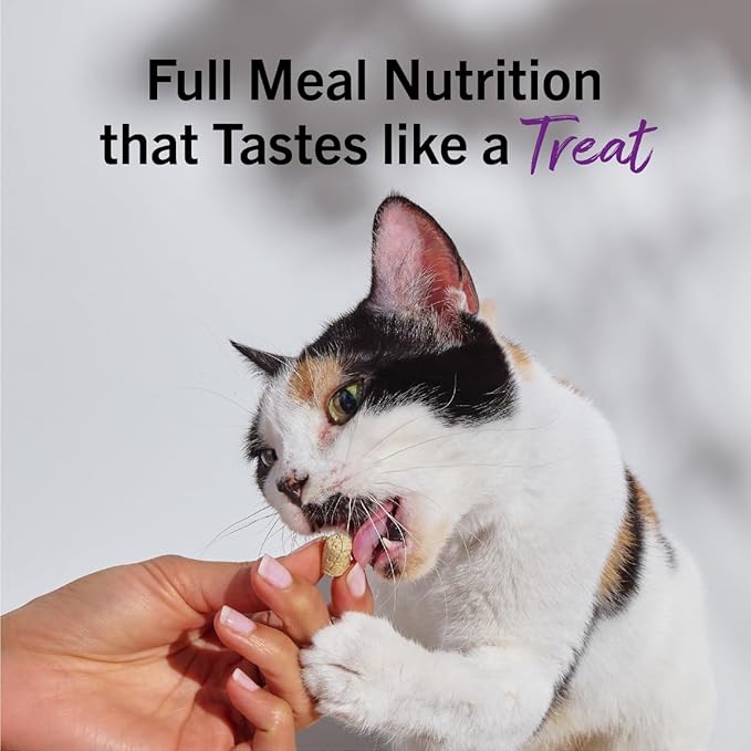 Stella & Chewy's Freeze-Dried Raw Cat Dinner Morsels - Premium Turkey Recipe with 98% Farm-Raised Meat & Organs - Natural Grain-Free Cat & Kitten Food - Made in USA - 8 oz