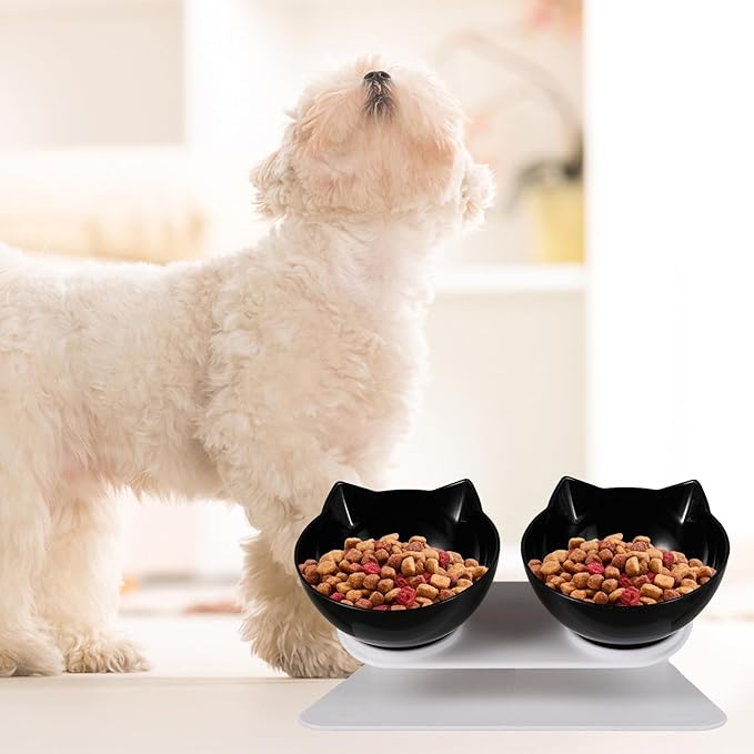 GALPADA Elevated Tilted Plastic Cat Bowls Double Feeding and Watering Station Neck Support for Indoor Cats and Kittens