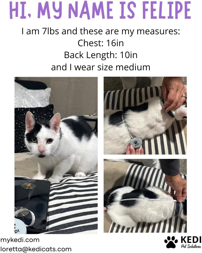 Cat Surgery Recovery Suit Female Cat Onesie for Cats After Surgery Spay Surgical Abdominal Wound Skin Diseases E-Collar Alternative Wear (Black, Medium)