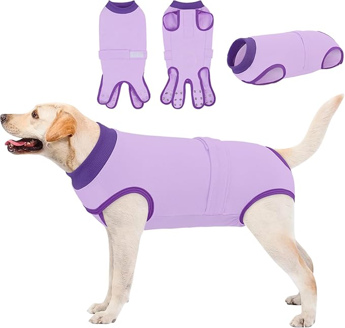 Queenmore Dog Surgical Recovery Suit Onesie, Recovery Suit for Dogs Cats After Surgery, Breathable Cotton Dog Surgery Suit Female Spay, Prevent Licking Pet Surgery Recovery Suit, Purple,XL