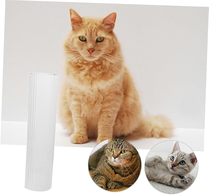 Totority 1set PVC Cat Scratch Protector Self-Adhesive Furniture Protector with PVC for Sofa Bed Chair Table Daily Use Cat Scratch Deterrent