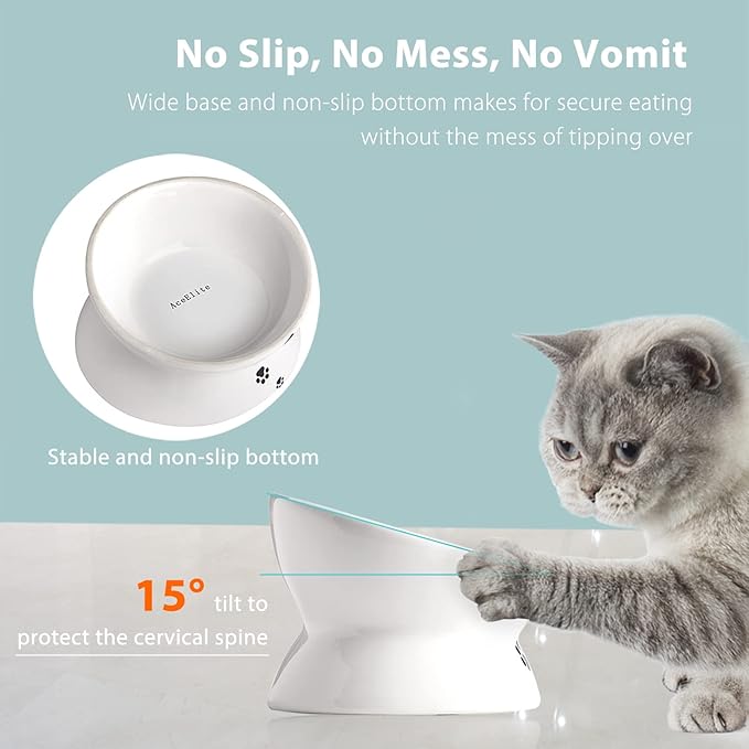 Cat Food Bowls, 10 OZ Elevated Cat Bowls for Cats and Small Dogs, Tilted Pet Feeder Bowl with Raised Stand Protect Cat's Spine, Ceramic Cat Water Bowl No-Spill, Stress Free Cat Dish 1pcs