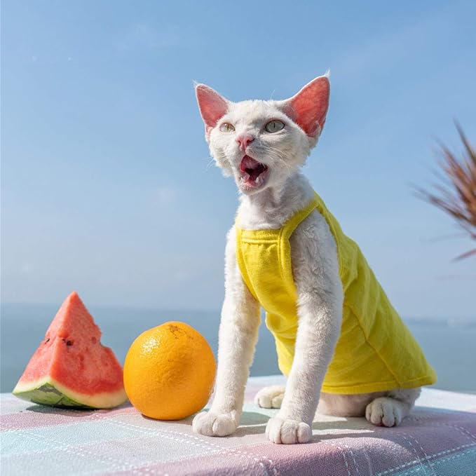 Hairless Cats Solid Cotton Camisole, Breathable Summer Tank Tops for Sphynx, Cornish Rex, Devon Rex, Peterbald, Cat Wear Hairless Cat Clothes Soft Skin-Friendly Cats Apparel Assorted Colors and Sizes