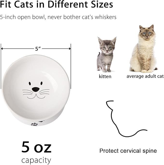 Cat Food Bowls, 10 OZ Elevated Cat Bowls for Cats and Small Dogs, Tilted Pet Feeder Bowl with Raised Stand Protect Cat's Spine, Ceramic Cat Water Bowl No-Spill, Stress Free Cat Dish 2pcs