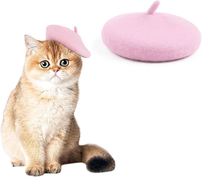 Pet Cat Dog Beret Hat Funny Artist Wool Beret Hat Pet Headwear Fashion Accessories for Winter Birthday Party (Pink)