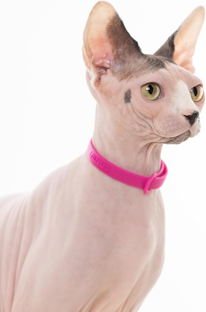 Nuvuq Cat Collar 2 Pack - Soft, Comfortable, and Lightweight Safety Breakaway Collar with Name Tag Ring for Outdoor Cats and Sensitive Skin Kittens (6 ⅞" to 10 ¼", Pink)